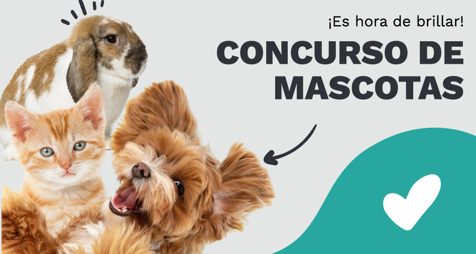 ¡Participa! Nomina a tu mascota en nuestro concurso