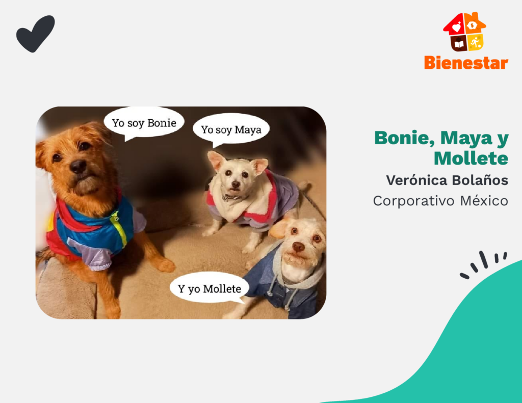 Bonie, Maya y Mollete cdmx