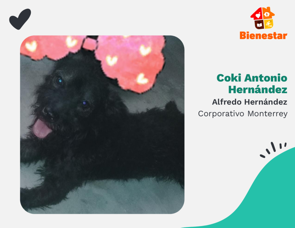 Coki Antonio Corpmty