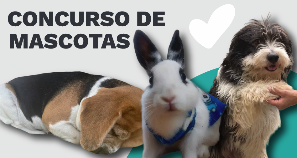 ¡Estuvo de Pelos! Ganadores Concurso de Mascotas