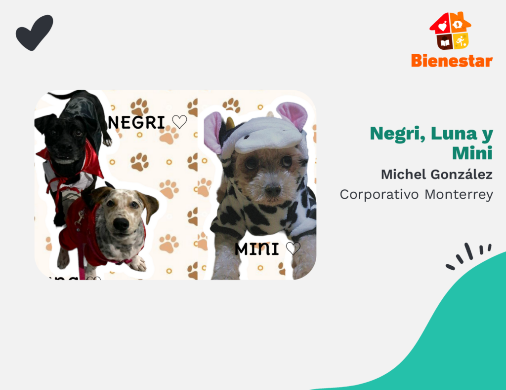 Negri, Luna y Mini Corpmty