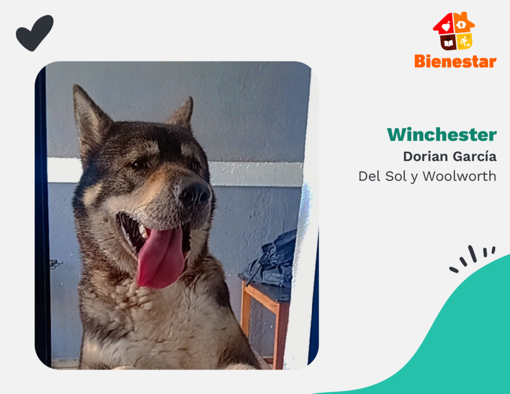 Winchester cdmx