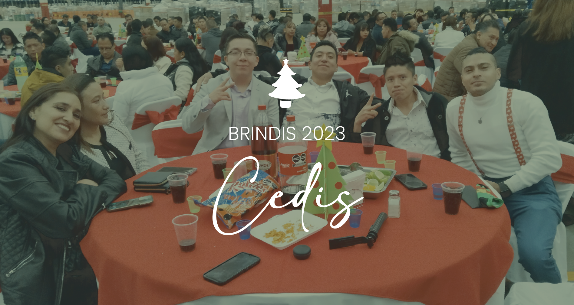 Galería: Brindis 2023 CeDis