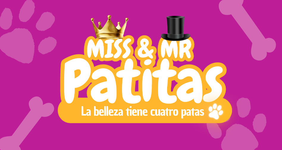 ¡Conoce a los Campeones de Miss & Mr Patitas 2024! 