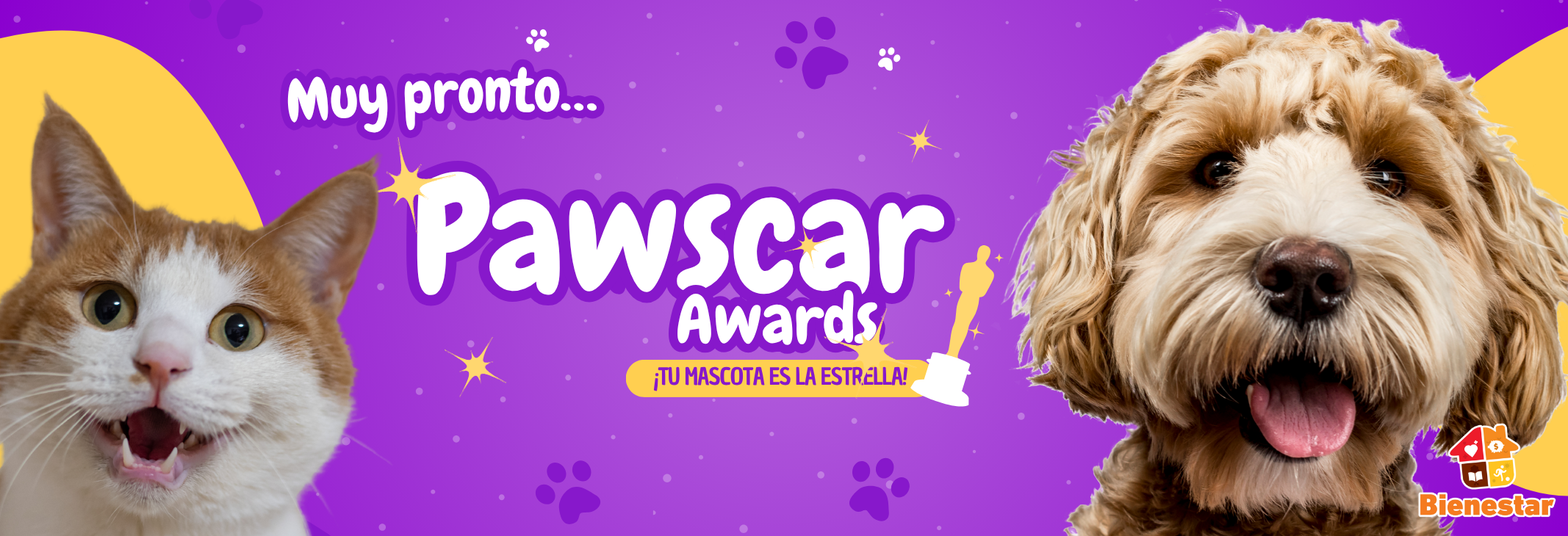 ¡Prepárense para una alfombra roja muy peluda! 